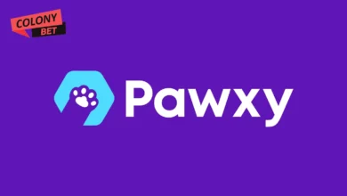 دانلود فیلتر شکن پاکسی وی پی ان (Pawxy vpn)