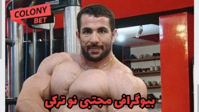 بیوگرافی مجتبی نو ترکی